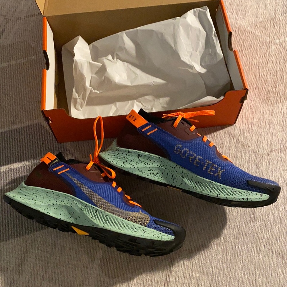 Never Worn! Nike Pegasus Trail 2 Gtx Sneaker